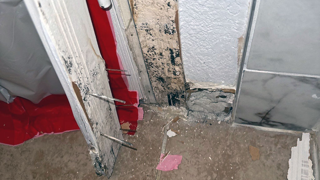 Mold behind trim in bathroom