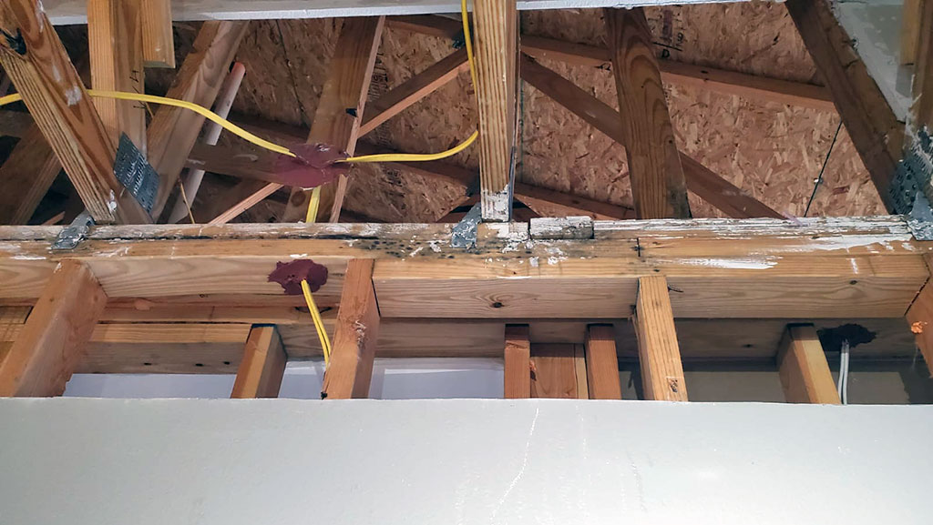 Mold on ceiling joists