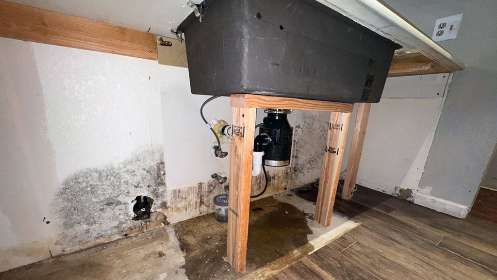 Mold under sink from leaking appliance